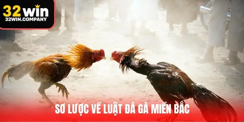 Sơ lược về luật đá gà miền Bắc